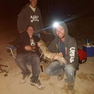 Meet your Posher, Tommy